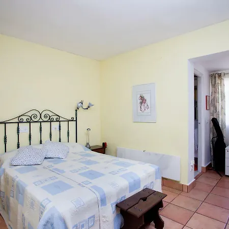 Palmera * Calpe